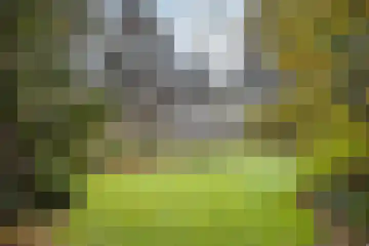 Spinolaberg 12 Halsteren thumbnail 32