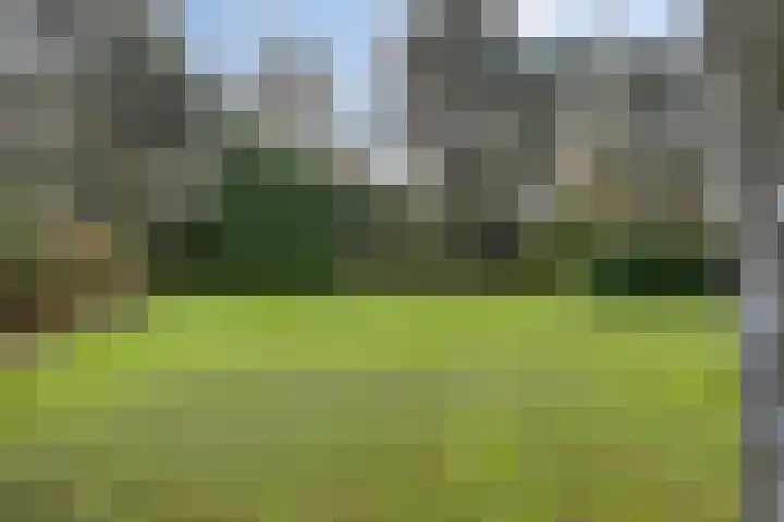 Spinolaberg 12 Halsteren thumbnail 33