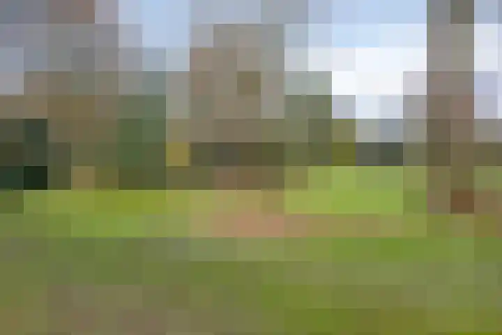Spinolaberg 12 Halsteren thumbnail 34