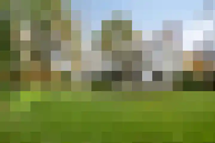 Spinolaberg 12 Halsteren thumbnail 35