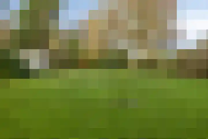 Spinolaberg 12 Halsteren thumbnail 38