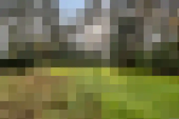 Spinolaberg 12 Halsteren thumbnail 39