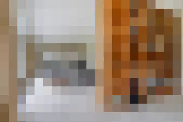 Spinolaberg 12 Halsteren thumbnail 4