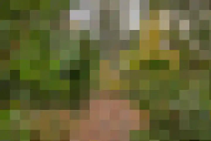 Spinolaberg 12 Halsteren thumbnail 40