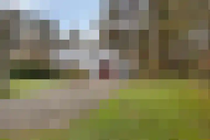 Spinolaberg 12 Halsteren thumbnail 47