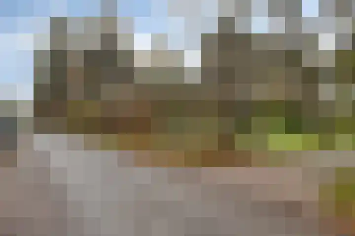 Spinolaberg 12 Halsteren thumbnail 48