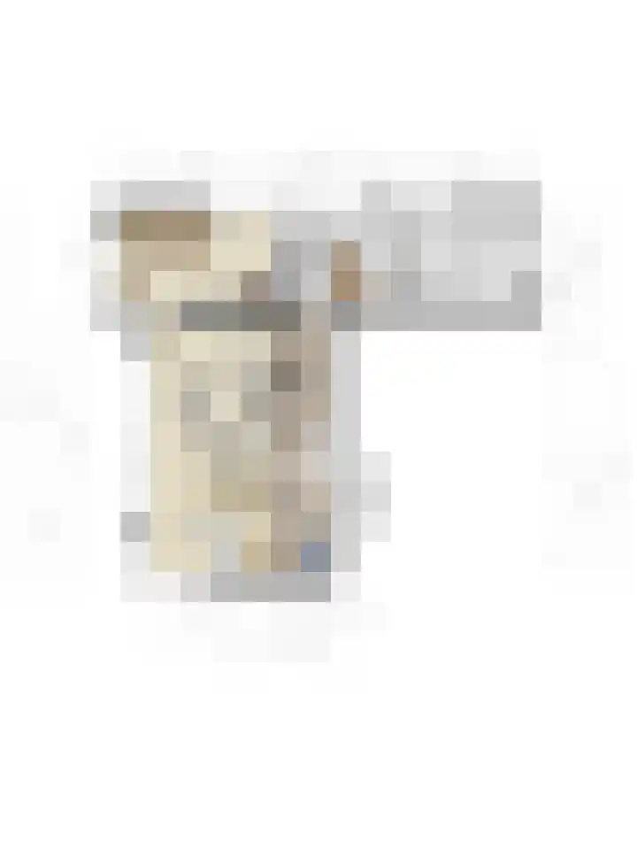 Spinolaberg 12 Halsteren thumbnail 49