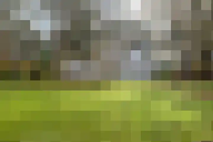 Spinolaberg 12 Halsteren thumbnail 5