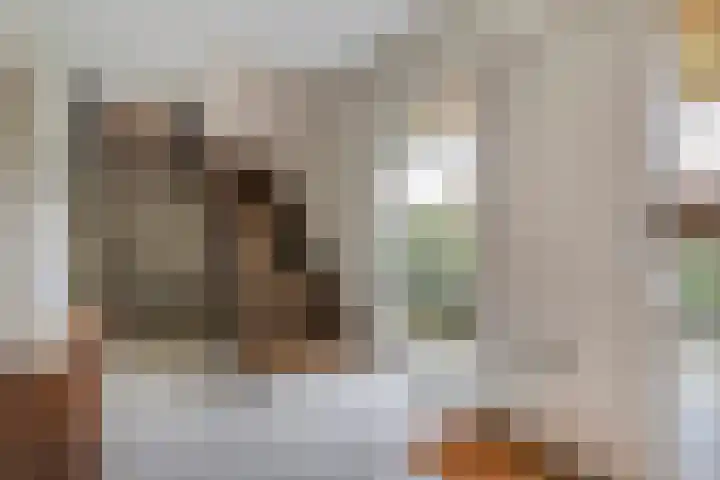 Spinolaberg 12 Halsteren thumbnail 6