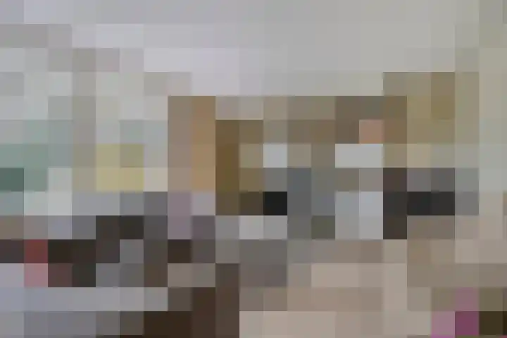 Spinolaberg 12 Halsteren thumbnail 8