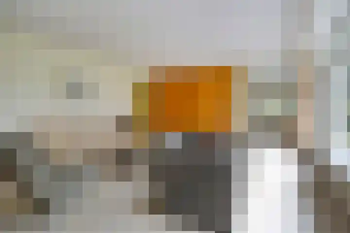 Spinolaberg 12 Halsteren thumbnail 9