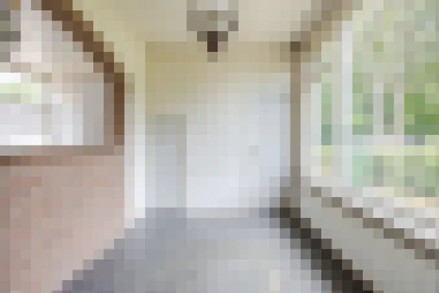 Spinolaberg 3 Halsteren thumbnail 11