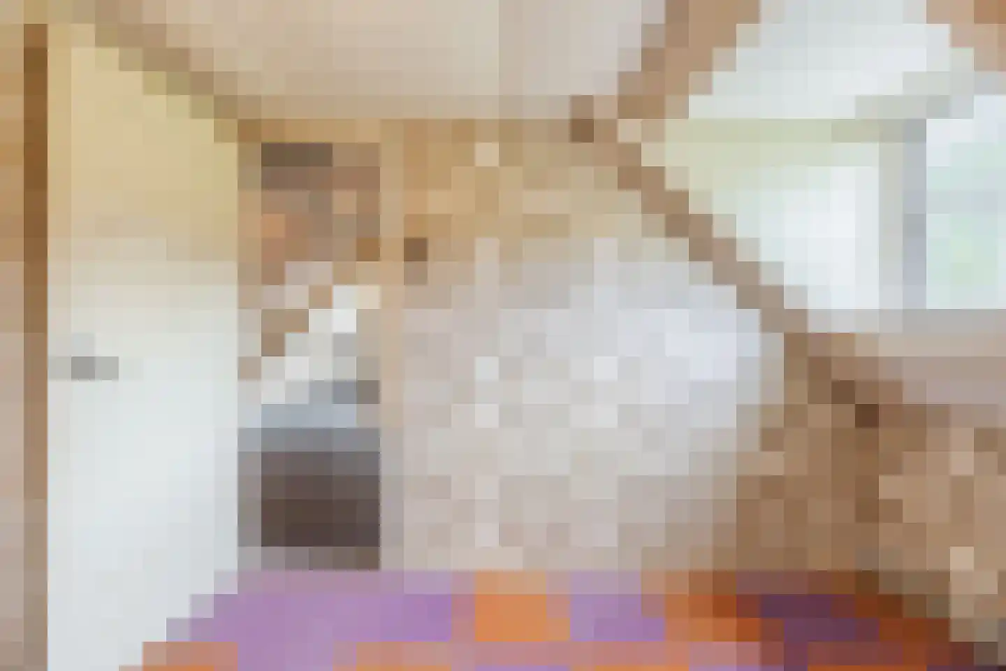 Spinolaberg 3 Halsteren thumbnail 19