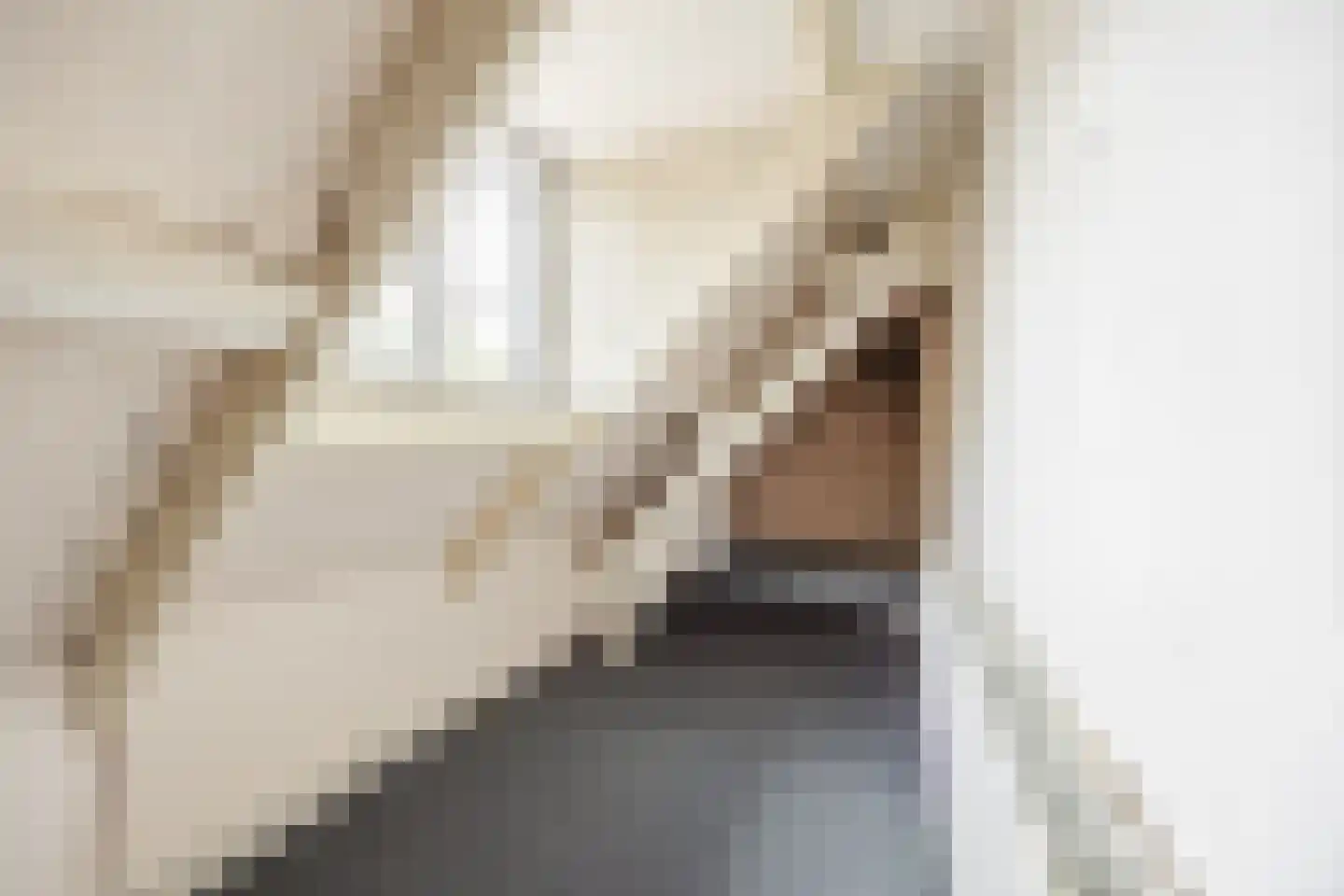 Spinolaberg 3 Halsteren thumbnail 24