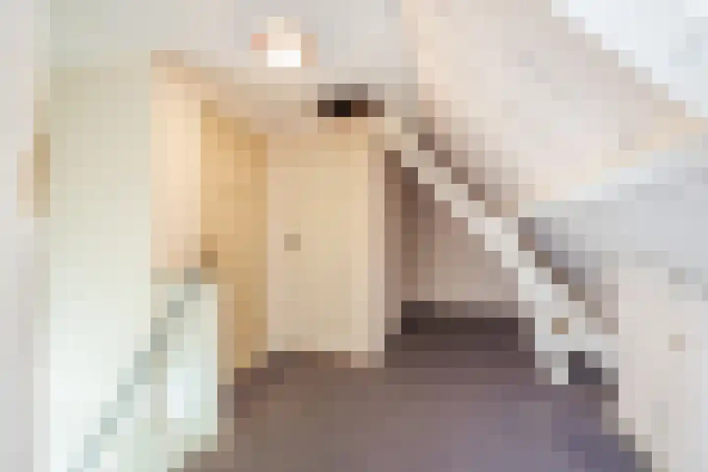 Spinolaberg 3 Halsteren thumbnail 25