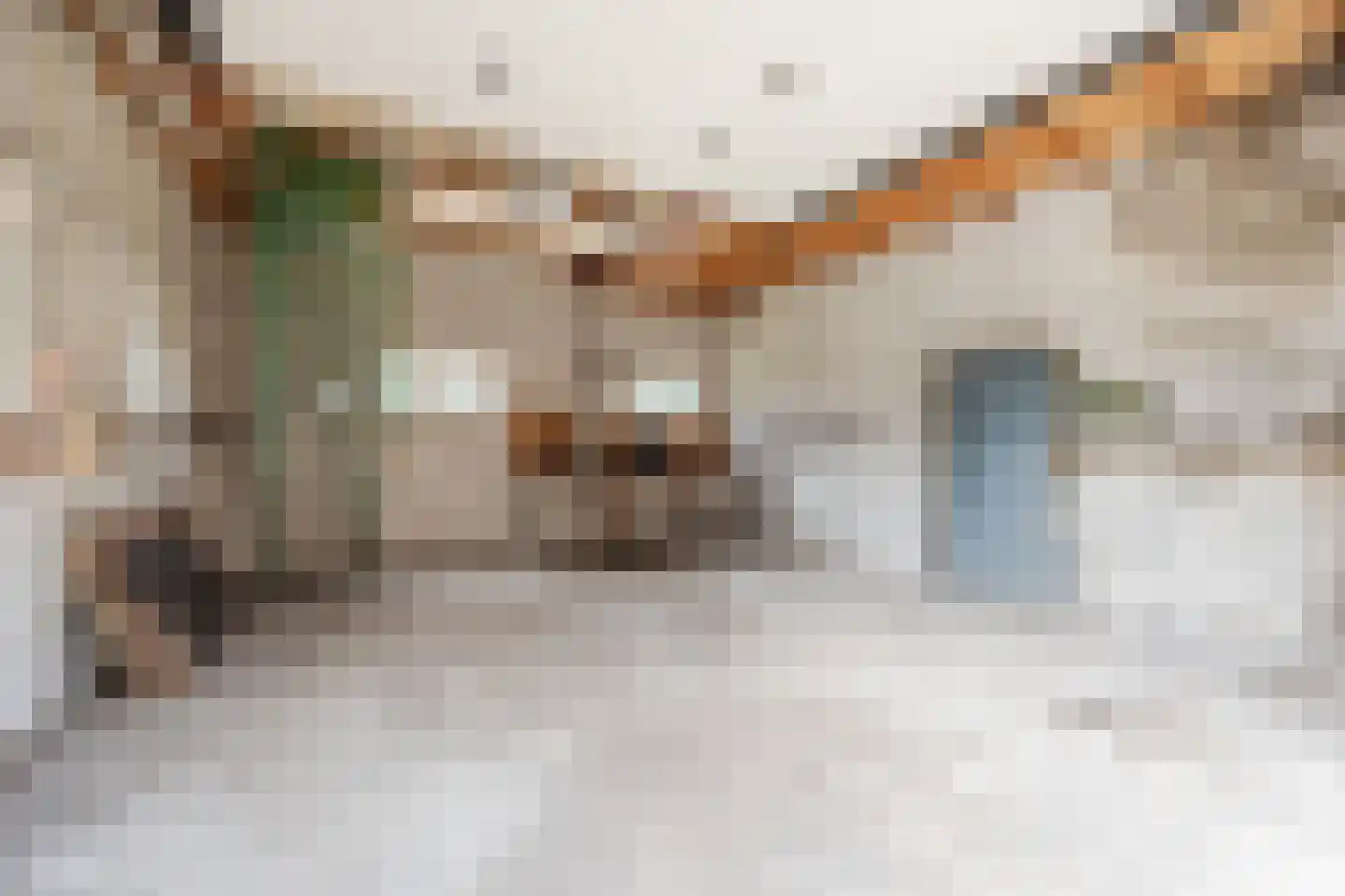 Spinolaberg 3 Halsteren thumbnail 28