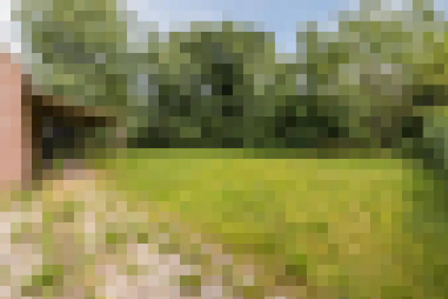 Spinolaberg 3 Halsteren thumbnail 43