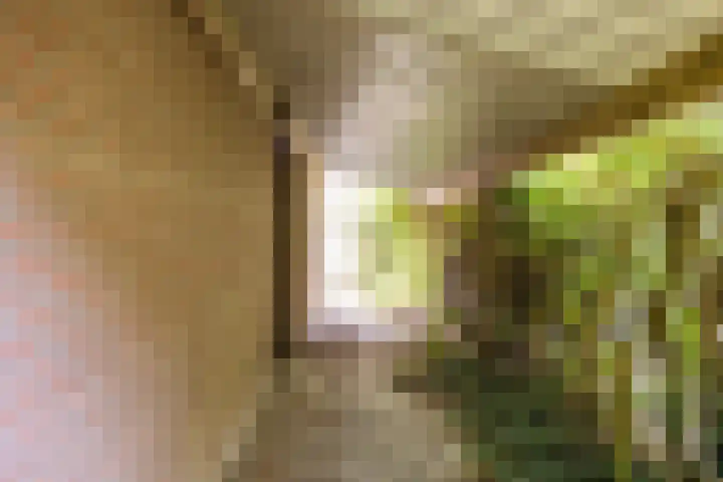 Spinolaberg 3 Halsteren thumbnail 46