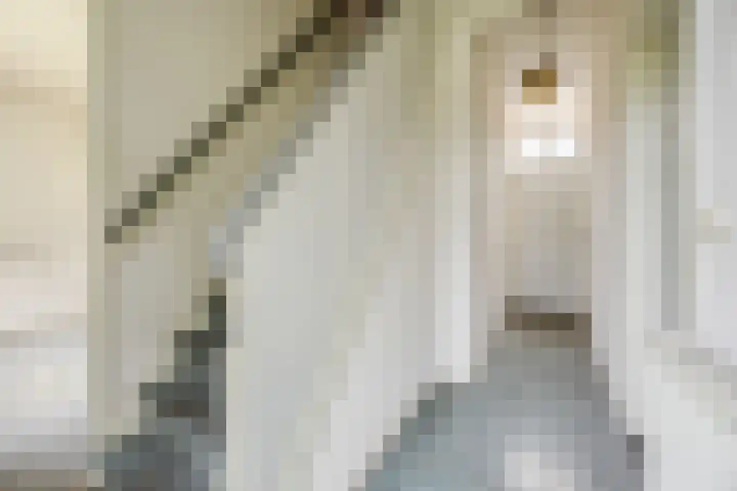 Spinolaberg 3 Halsteren thumbnail 5
