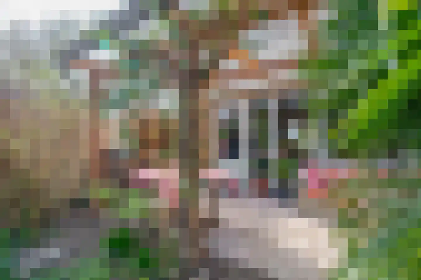 Spinozahof 15 Krommenie thumbnail 41