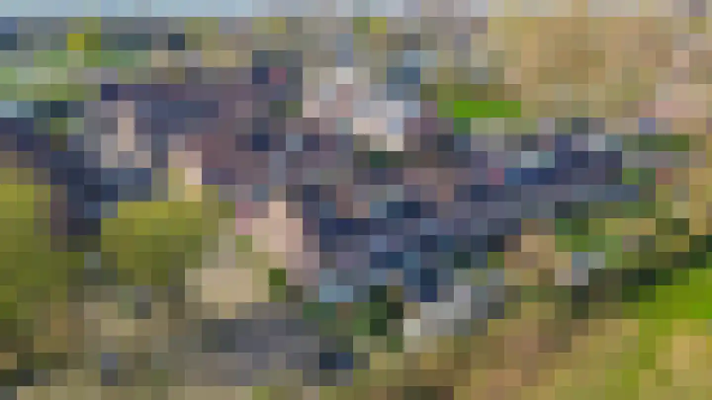 Spinozahof 15 Krommenie thumbnail 45