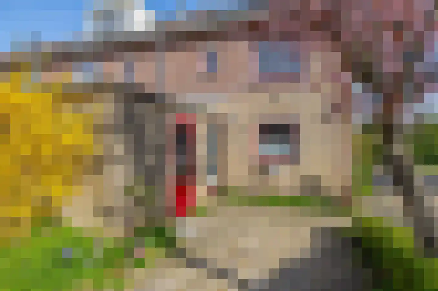 Spinozahof 15 Krommenie thumbnail 7