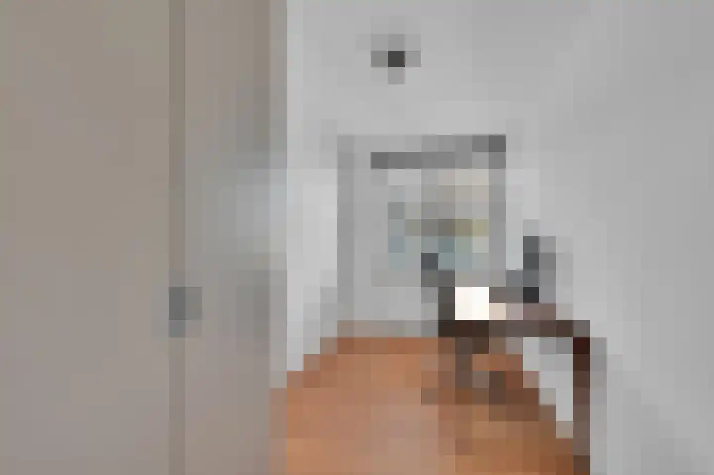 Spinozalaan 1 C II Voorburg thumbnail 30