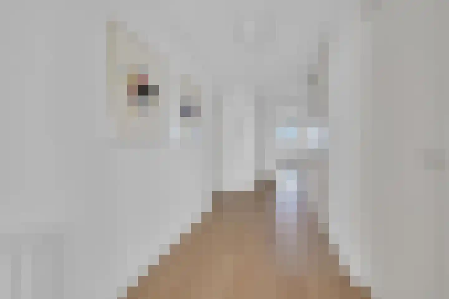 Spinozalaan 1 H I Voorburg thumbnail 11