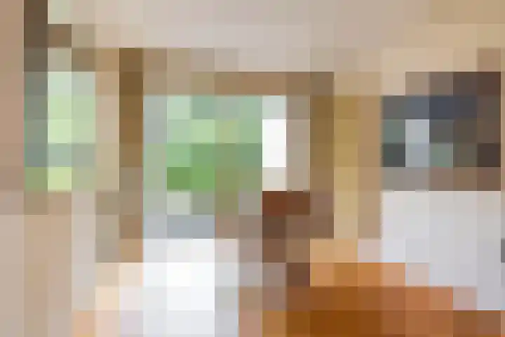 Spinozalaan 13 Haren Gn thumbnail 16