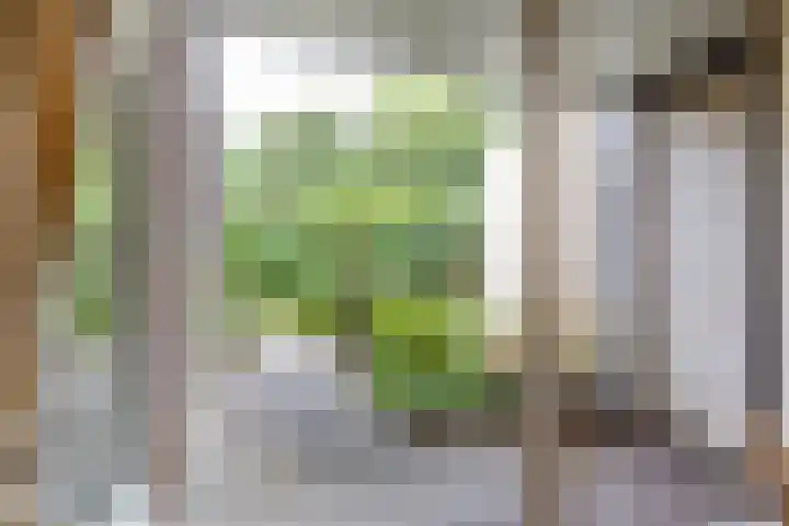 Spinozalaan 13 Haren Gn thumbnail 17