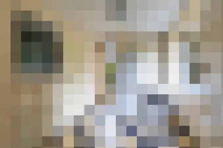 Spinozalaan 13 Haren Gn thumbnail 21