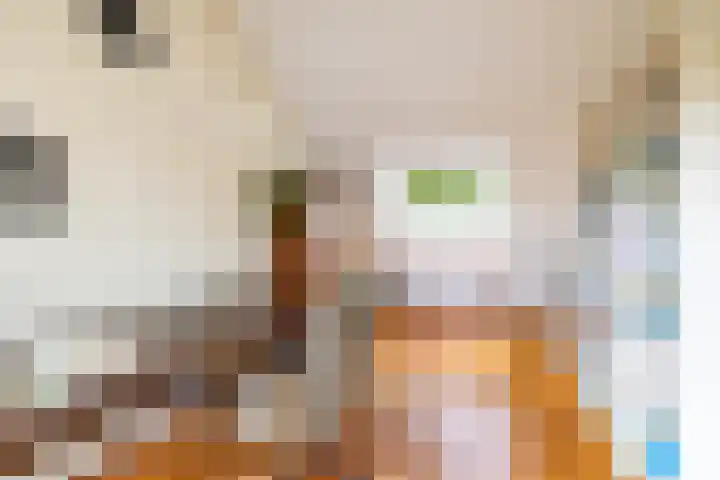 Spinozalaan 13 Haren Gn thumbnail 30