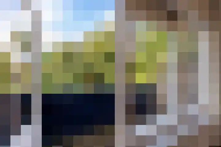 Spinozalaan 13 Haren Gn thumbnail 37