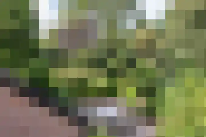 Spinozalaan 13 Haren Gn thumbnail 38