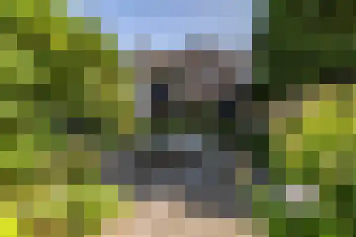 Spinozalaan 13 Haren Gn thumbnail 4