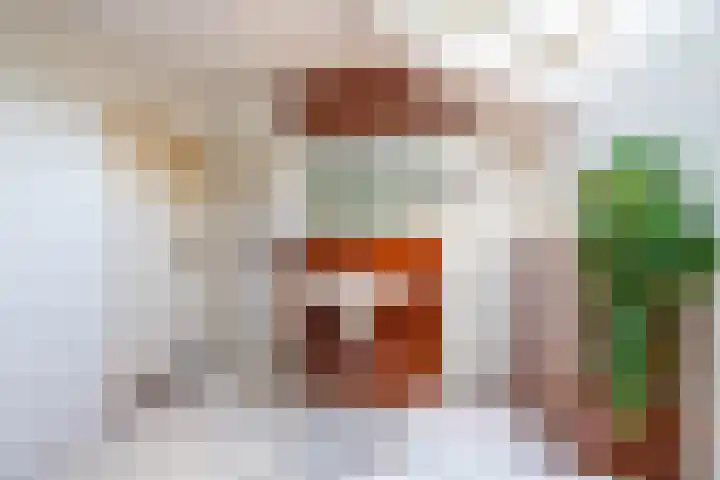 Spinozalaan 13 Haren Gn thumbnail 41