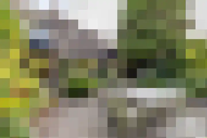 Spinozalaan 13 Haren Gn thumbnail 48