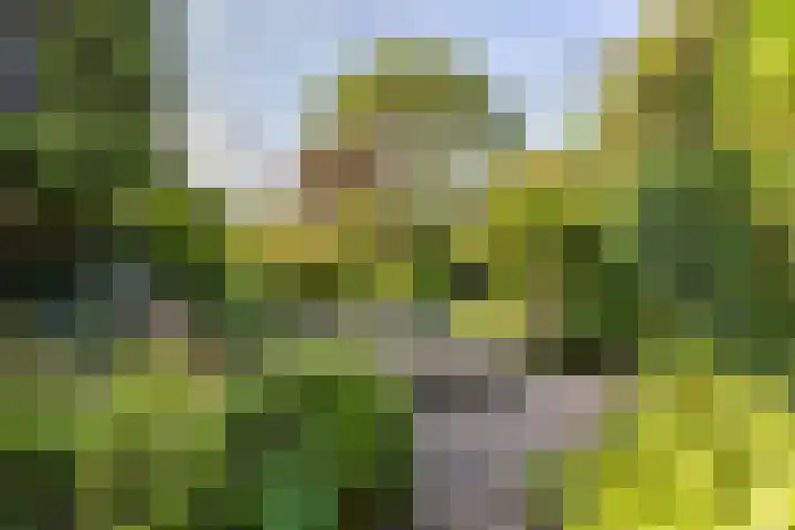 Spinozalaan 13 Haren Gn thumbnail 49