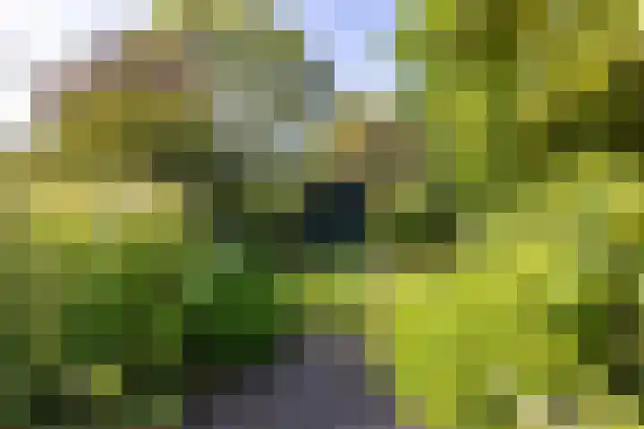 Spinozalaan 13 Haren Gn thumbnail 50