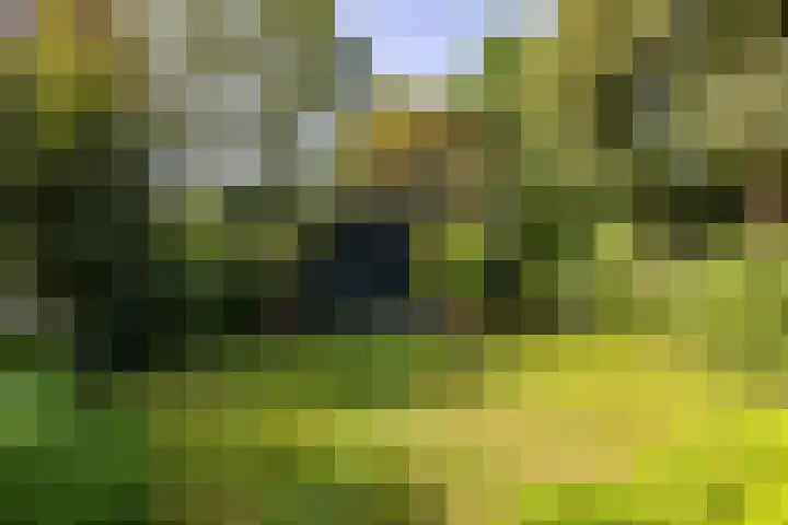 Spinozalaan 13 Haren Gn thumbnail 51