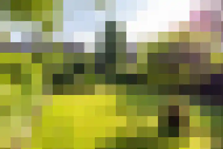 Spinozalaan 13 Haren Gn thumbnail 53
