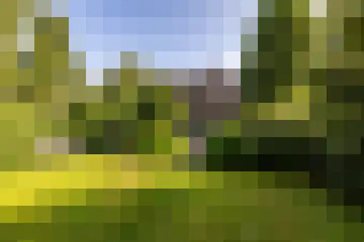 Spinozalaan 13 Haren Gn thumbnail 54
