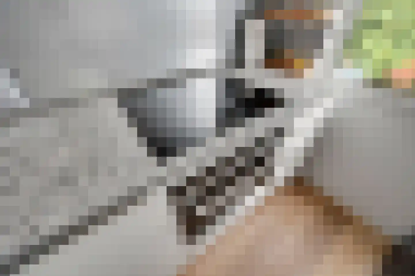Spinozalaan 141 Voorburg thumbnail 11