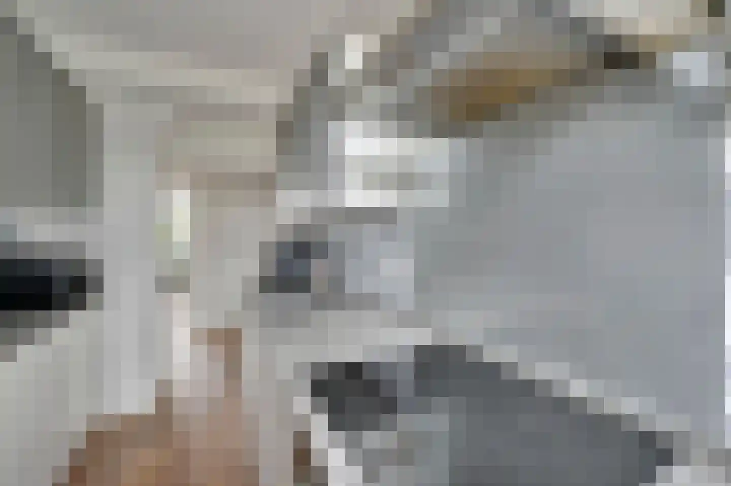 Spinozalaan 141 Voorburg thumbnail 12
