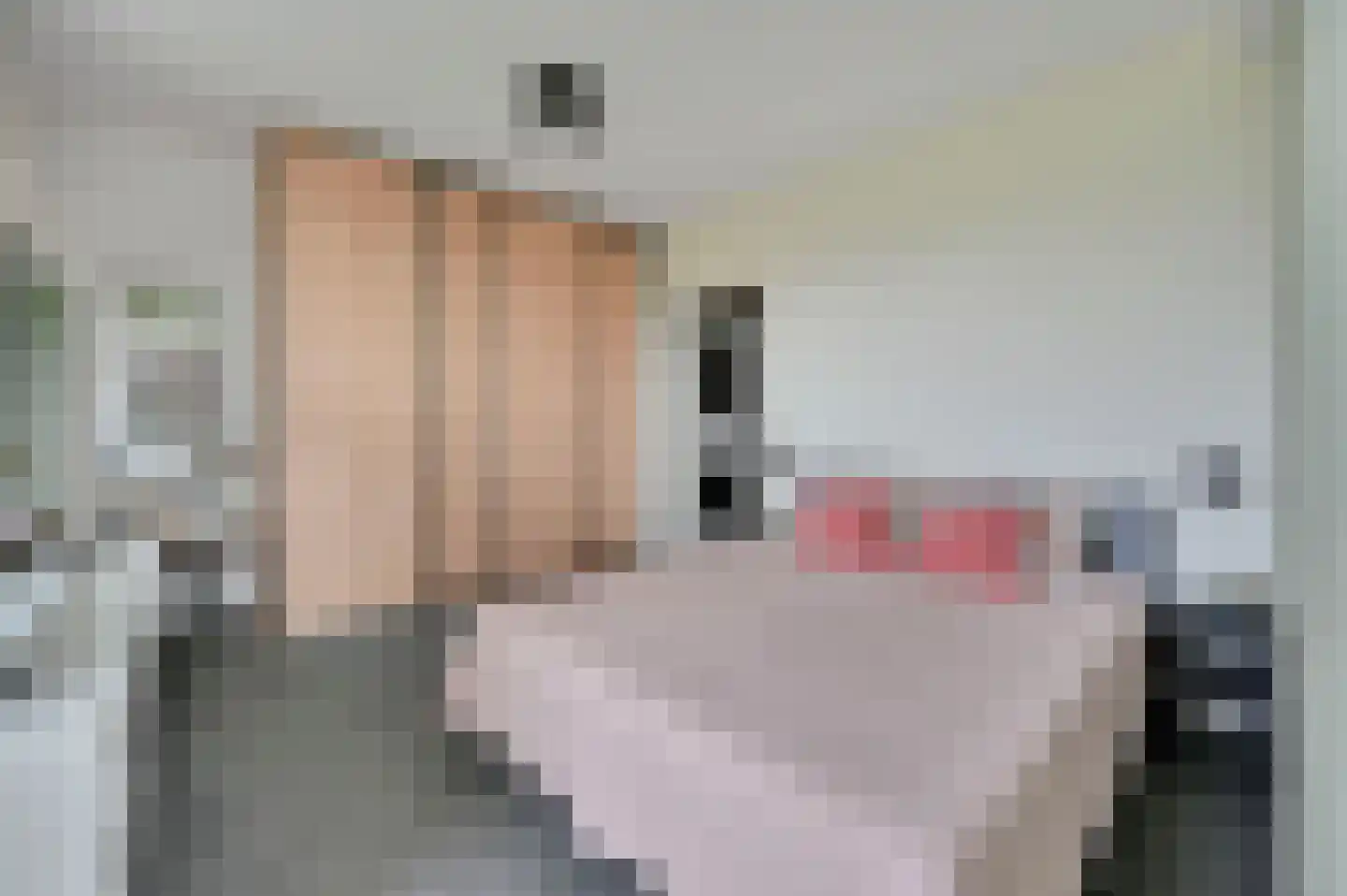 Spinozalaan 141 Voorburg thumbnail 13