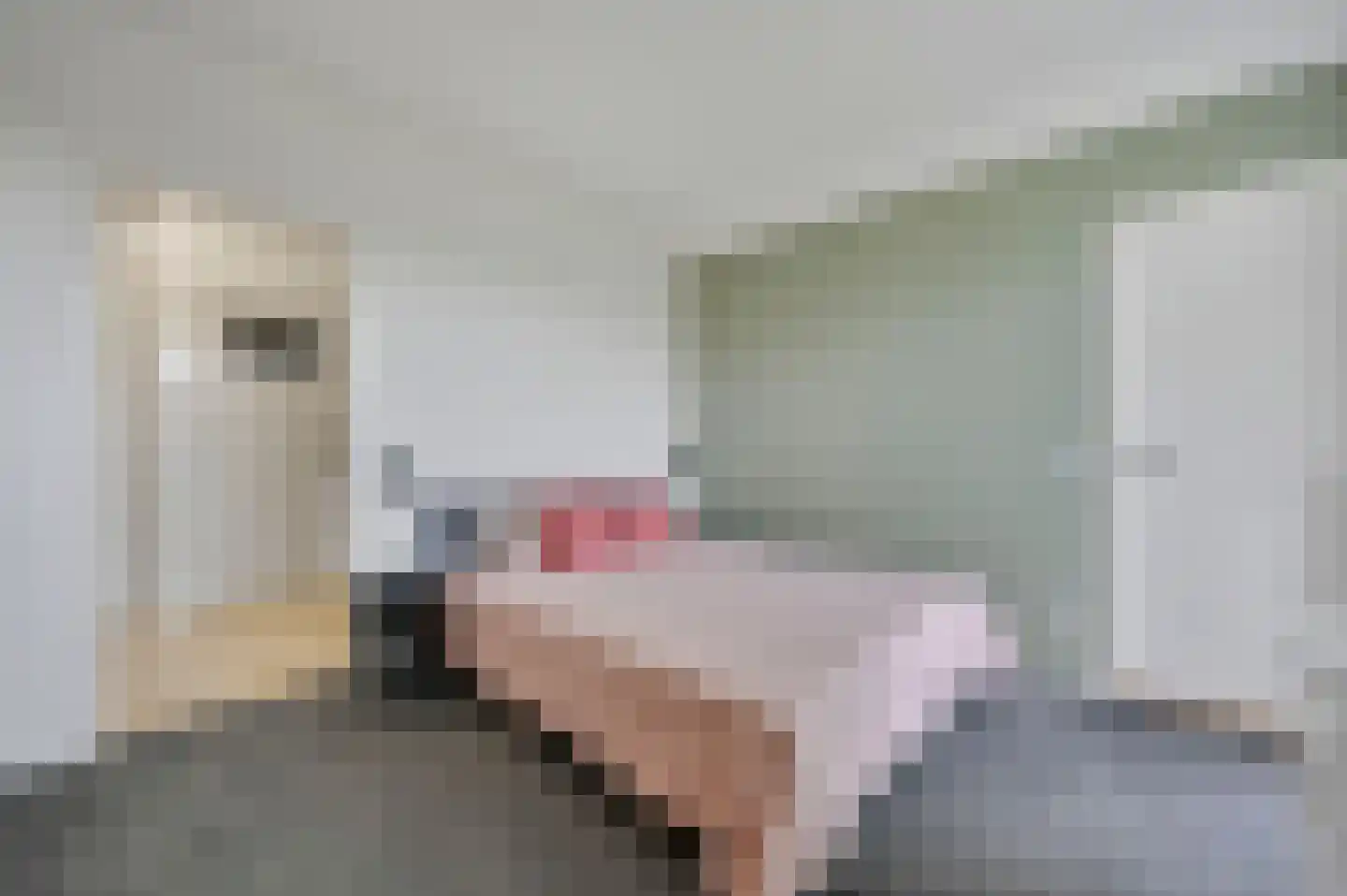 Spinozalaan 141 Voorburg thumbnail 14