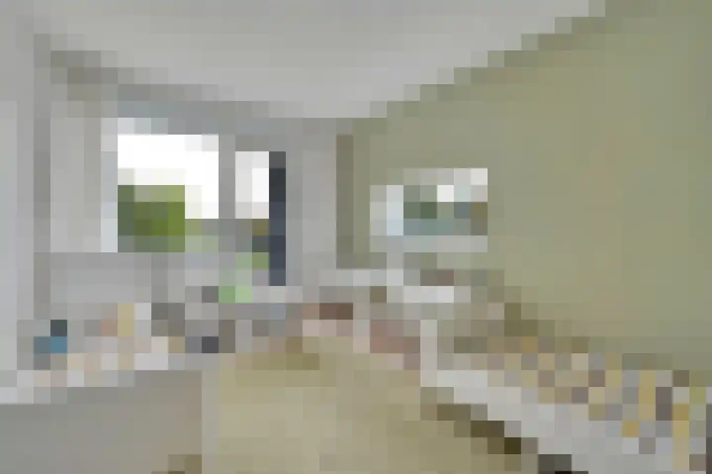 Spinozalaan 141 Voorburg thumbnail 20