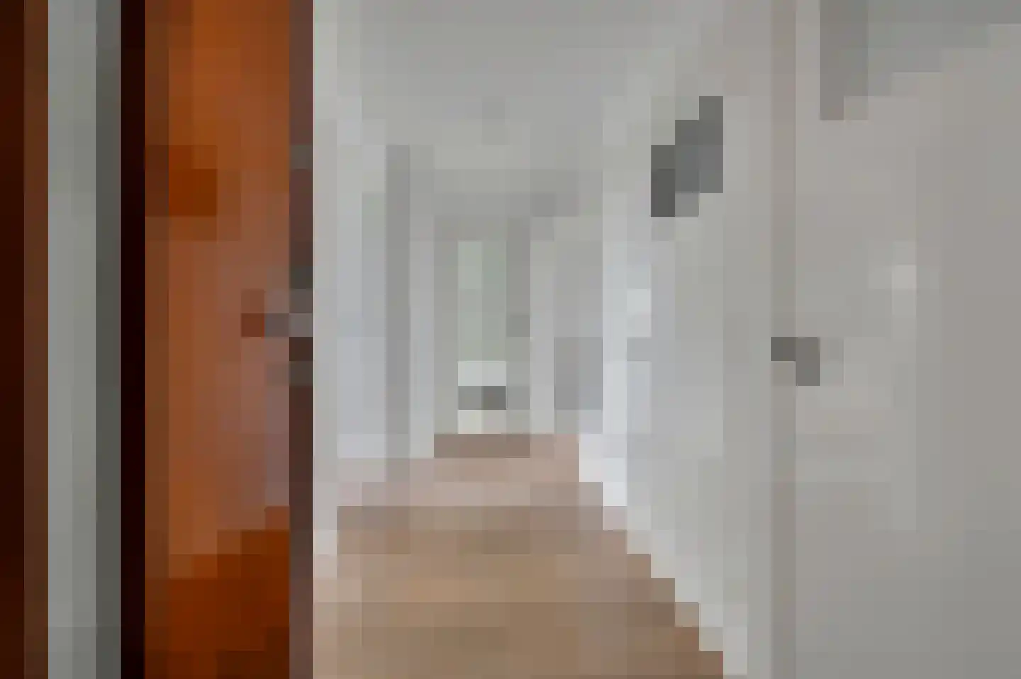 Spinozalaan 141 Voorburg thumbnail 6