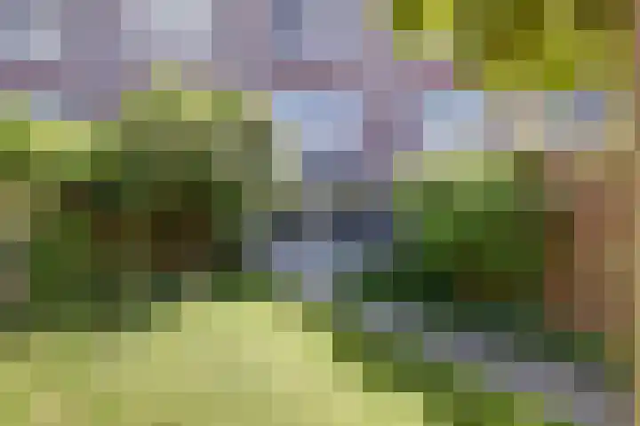 Spinozalaan 179 Voorburg thumbnail 14