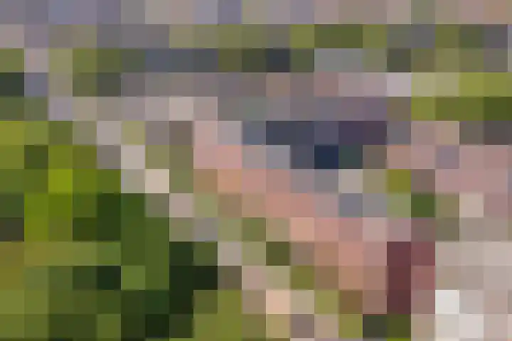 Spinozalaan 179 Voorburg thumbnail 37